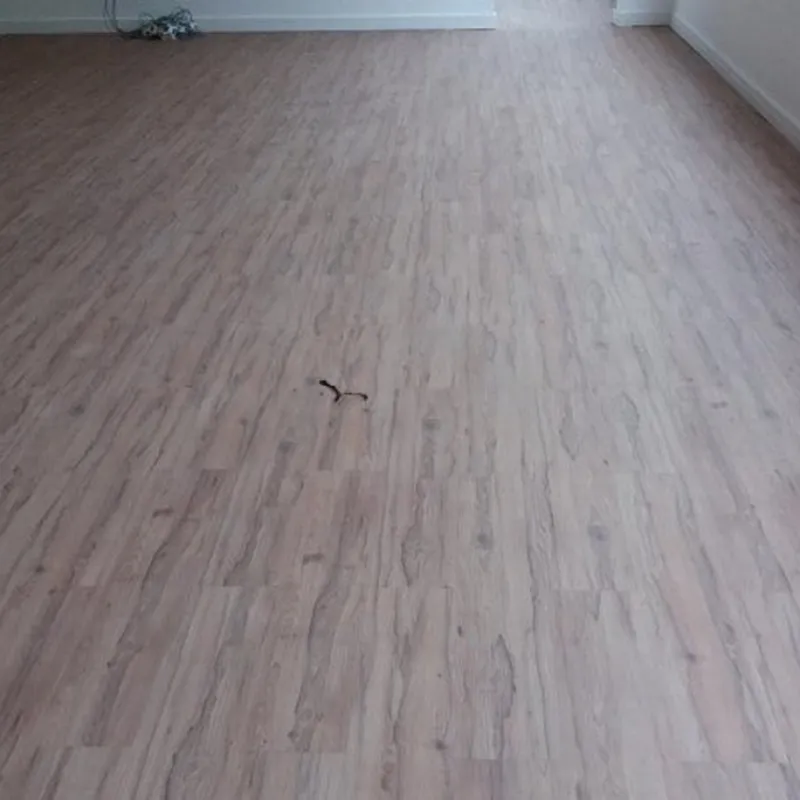 Ilustração Piso Vinílico